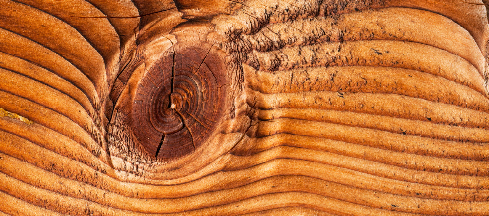 Wood Finishes Guide  - 11