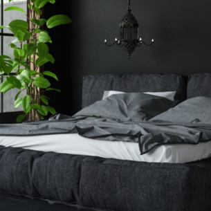 Black Coloured Bedroom - Asian Paints Black Coloured Bedroom - Asian Paints