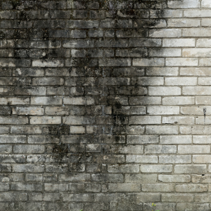 Exterior Blogs| 25-26 - AP - Algae Protection - Blog Optimization - July'2025 Exterior Blogs| 25-26 - AP - Algae Protection - Blog Optimization - July'2025