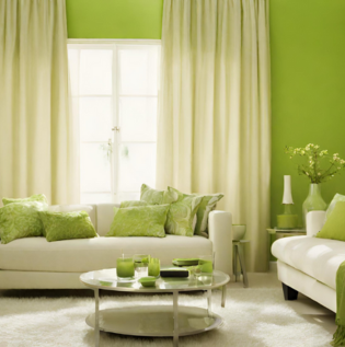Lime Green Colour Living Room - Asian Paints