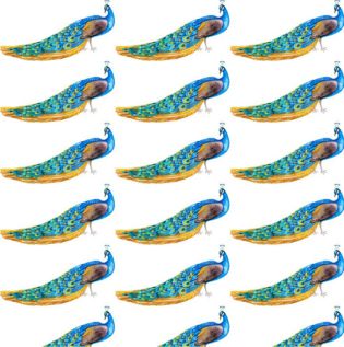 Tropical Peacock Wallpaper - Asian Paints