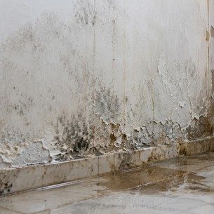 Seepage Meaning, Causes, Signs, Effects and Solutions Seepage Meaning, Causes, Signs, Effects and Solutions