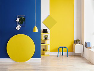 Cute & simple two colour combination for living room - Asian Paints