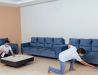 Professional wood polish at home� Asian Paints
