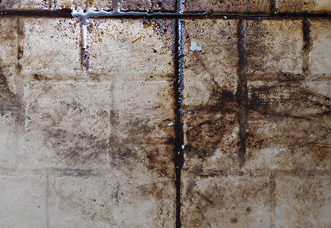Dirty Wet Tile Tile Floor Surface - Asian Paints