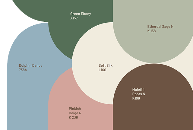 colour-next-felicity-colour-forecast-asian-paints