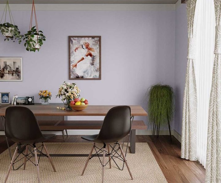 cool-neutrals-colour-shade-asian-paints-7185