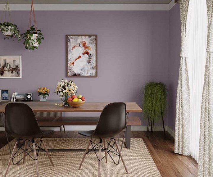 cool-neutrals-colour-shade-asian-paints-8207