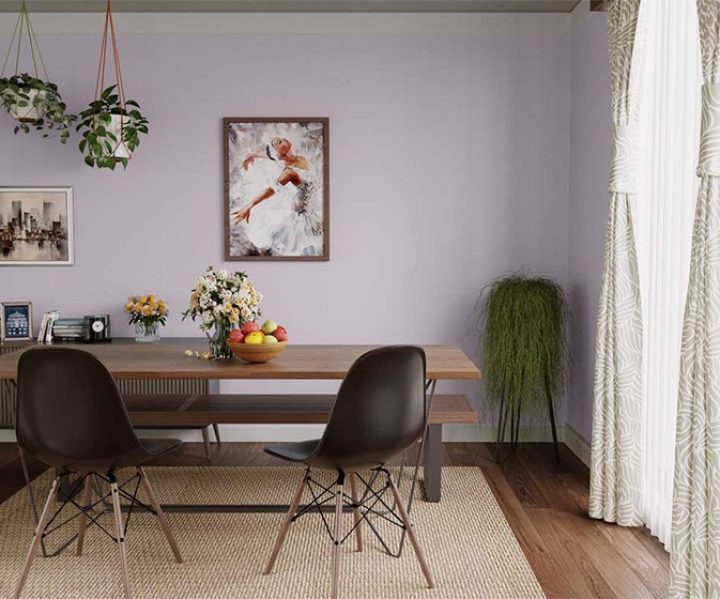 cool-neutrals-colour-shade-asian-paints-8209