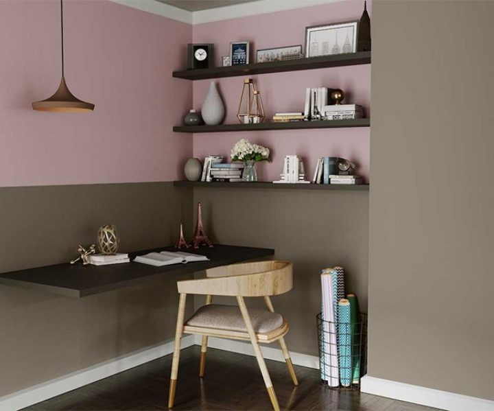 cool-neutrals-colour-shade-asian-paints-8462
