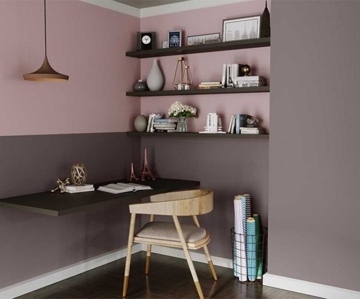 cool-neutrals-colour-shade-asian-paints-K279
