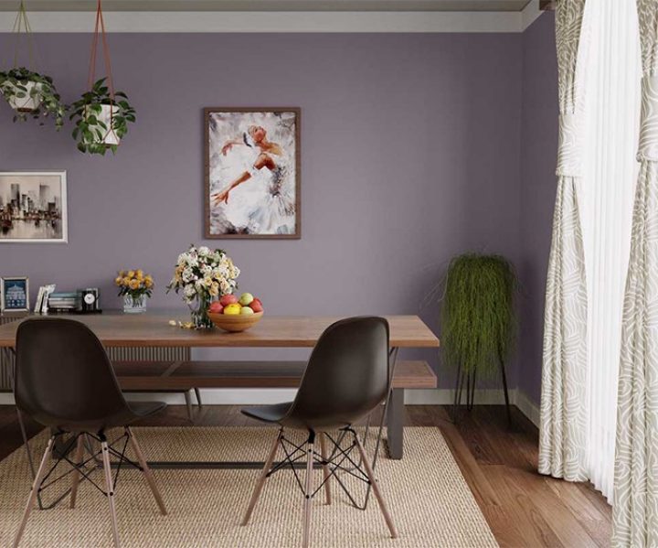 cool-neutrals-colour-shade-asian-paints-k070