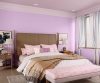purples-pinks-colour-shade-asian-paints-7113