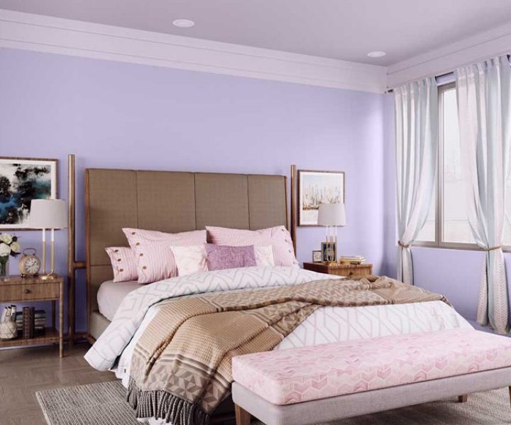 purples-pinks-colour-shade-asian-paints-7161