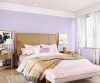 purples-pinks-colour-shade-asian-paints-7162