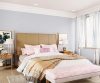 purples-pinks-colour-shade-asian-paints-7212