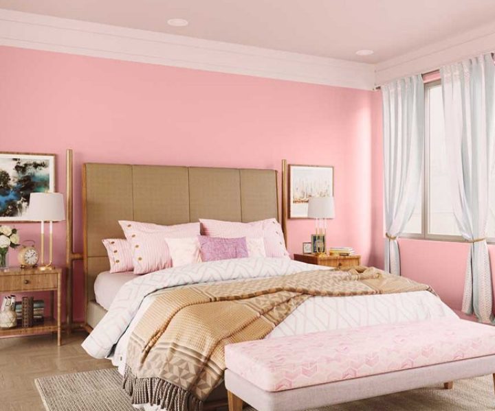 Try Pink Linen House Paint Colour Shades For Walls Asian Paints