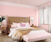 purples-pinks-colour-shade-asian-paints-8058 purples-pinks-colour-shade-asian-paints-8058