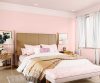 purples-pinks-colour-shade-asian-paints-8066 purples-pinks-colour-shade-asian-paints-8066