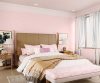 purples-pinks-colour-shade-asian-paints-8067