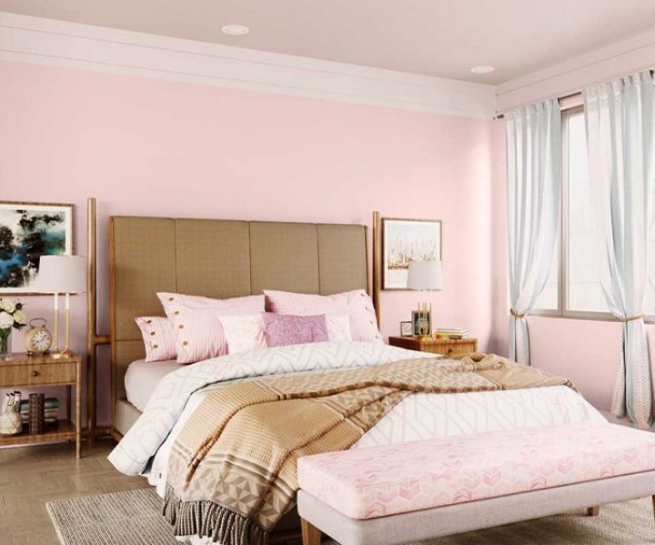 purples-pinks-colour-shade-asian-paints-8067