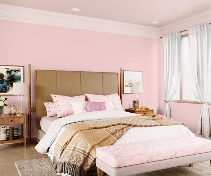 purples-pinks-colour-shade-asian-paints-8083