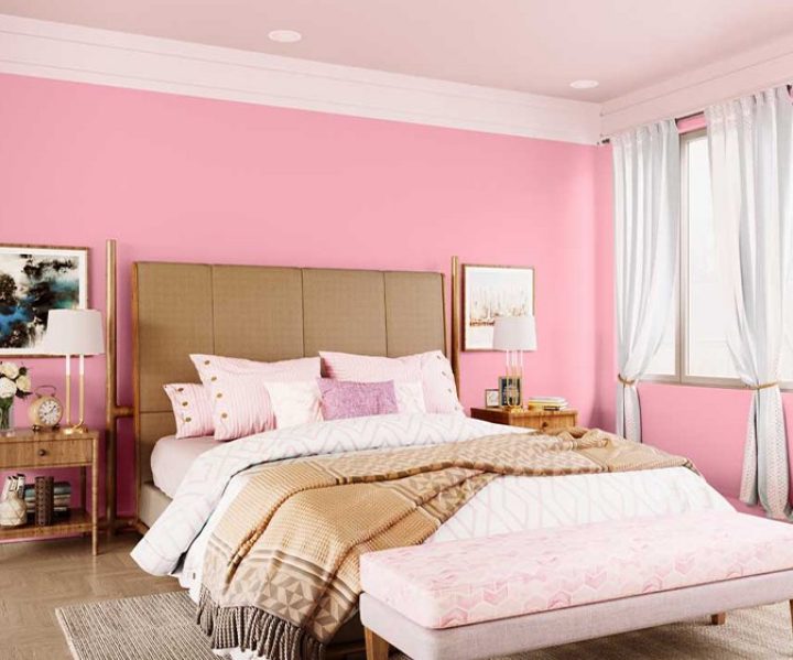 purples-pinks-colour-shade-asian-paints-8088 purples-pinks-colour-shade-asian-paints-8088