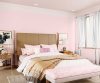 purples-pinks-colour-shade-asian-paints-8091