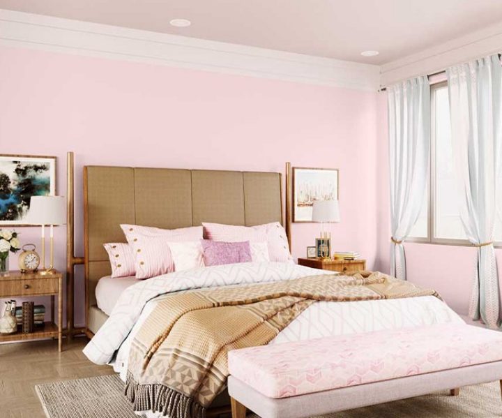 purples-pinks-colour-shade-asian-paints-8091