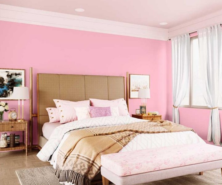 purples-pinks-colour-shade-asian-paints-8096