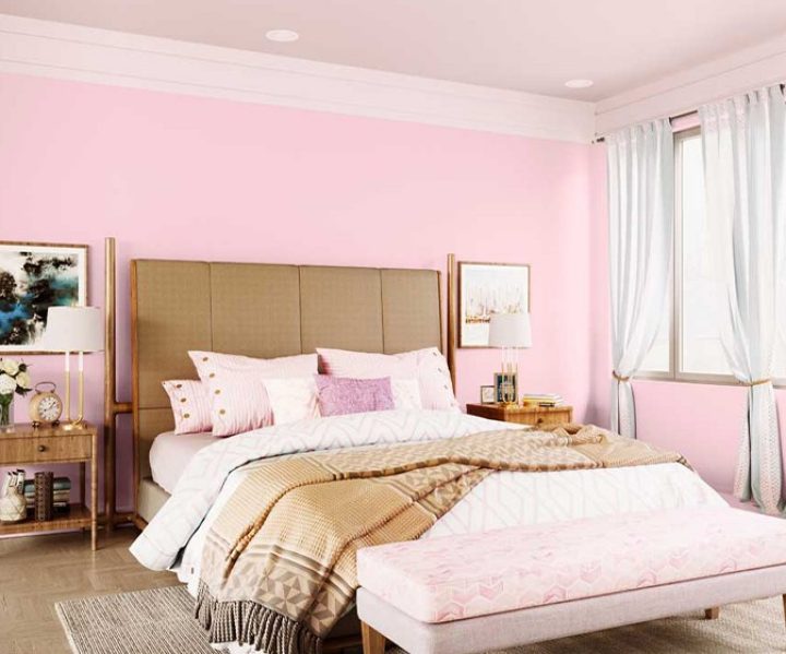 purples-pinks-colour-shade-asian-paints-8098
