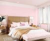 purples-pinks-colour-shade-asian-paints-8115 purples-pinks-colour-shade-asian-paints-8115