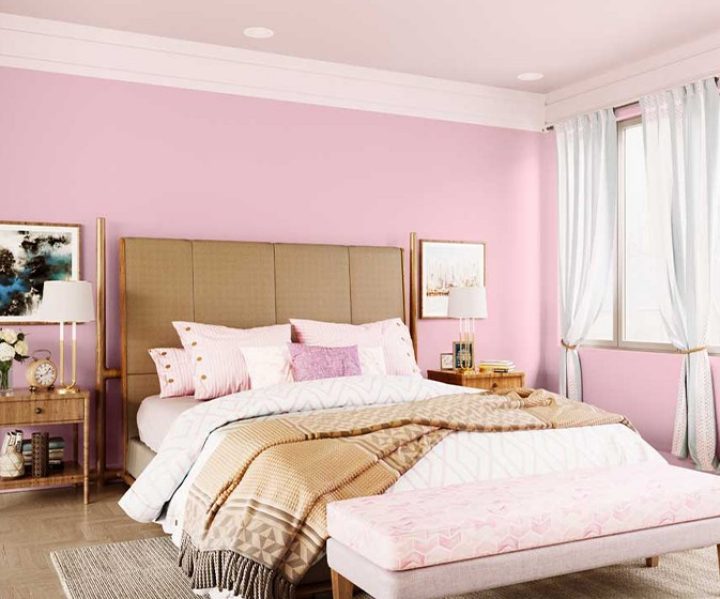 Try Peach Blossom House Paint Colour Shades For Walls Asian Paints - Peach Colour Wall Paint