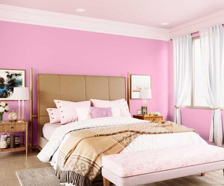Try Touch Of Rouge House Paint Colour Shades For Walls Asian Paints - Interior Wall Color Combinations Asian Paints