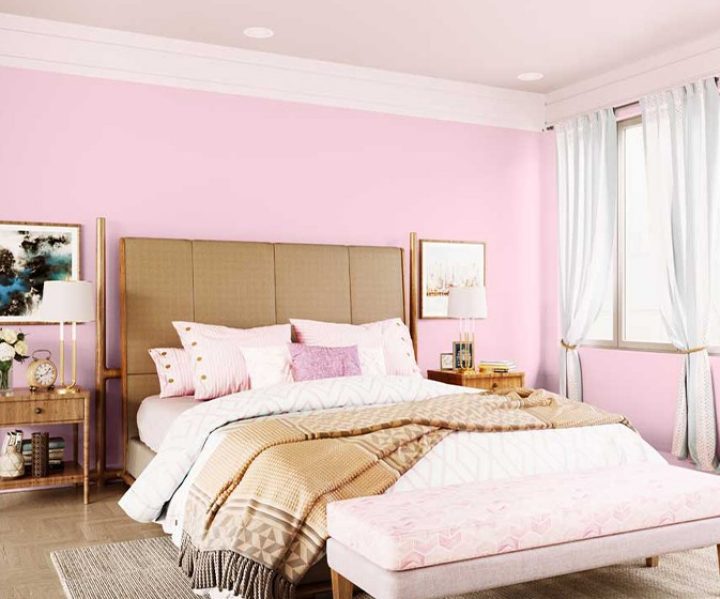 Try Baby Blush House Paint Colour Shades For Walls Asian Paints - Asian Paints Colour Shades Exterior Wall