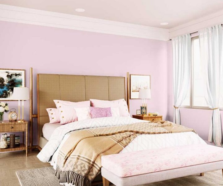 Spectre Of Pink (8147) House Wall Painting Colour | Asian Paints Spectre Of Pink (8147) House Wall Painting Colour | Asian Paints