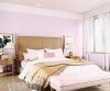 purples-pinks-colour-shade-asian-paints-8171