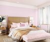 purples-pinks-colour-shade-asian-paints-8203