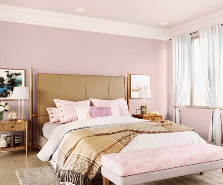 purples-pinks-colour-shade-asian-paints-8690