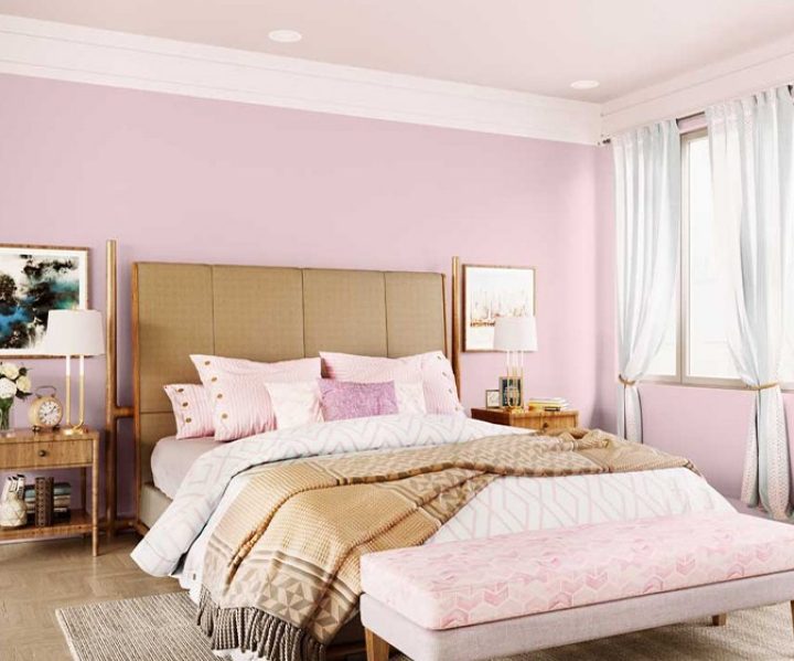 purples-pinks-colour-shade-asian-paints-8698