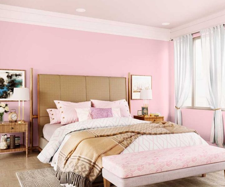 purples-pinks-colour-shade-asian-paints-8705 purples-pinks-colour-shade-asian-paints-8705