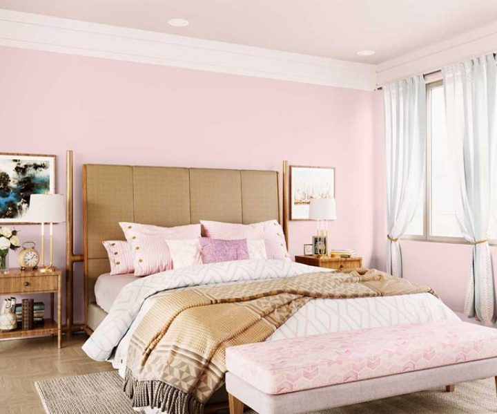 purples-pinks-colour-shade-asian-paints-8707 purples-pinks-colour-shade-asian-paints-8707