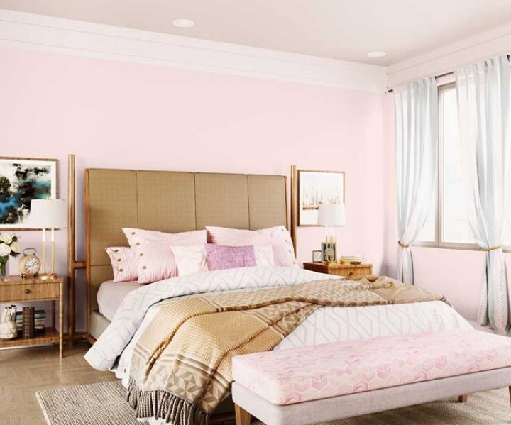 purples-pinks-colour-shade-asian-paints-8708 purples-pinks-colour-shade-asian-paints-8708
