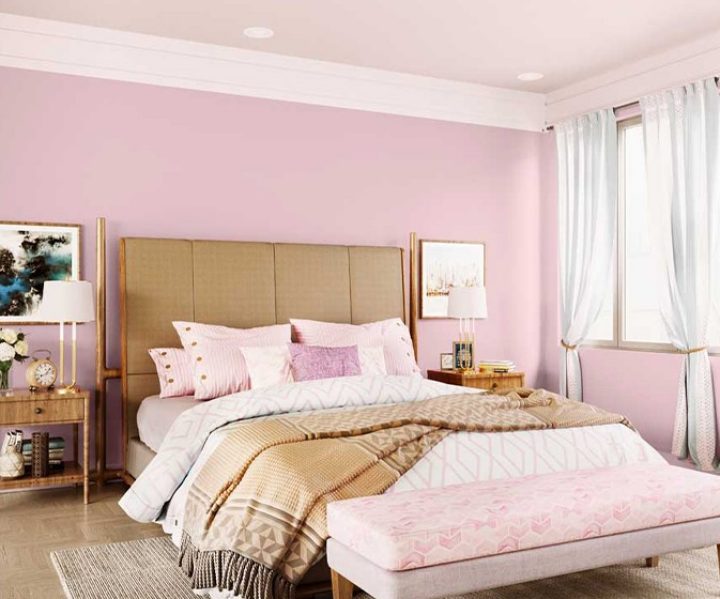 purples-pinks-colour-shade-asian-paints-8713 purples-pinks-colour-shade-asian-paints-8713