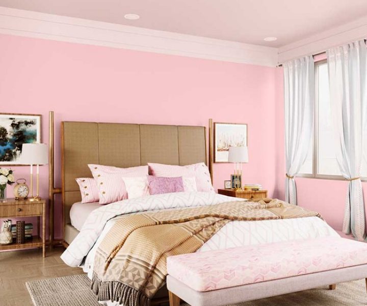 purples-pinks-colour-shade-asian-paints-9410 purples-pinks-colour-shade-asian-paints-9410