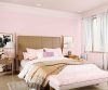 purples-pinks-colour-shade-asian-paints-9411