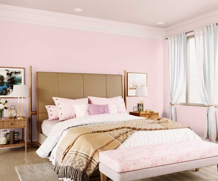 purples-pinks-colour-shade-asian-paints-9411