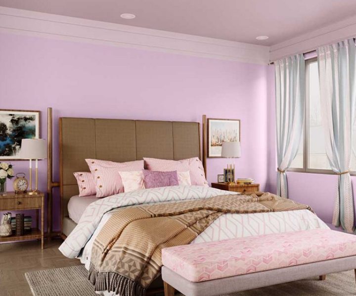 purples-pinks-colour-shade-asian-paints-9426
