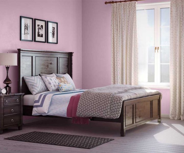 purples-pinks-colour-shade-asian-paints-9431
