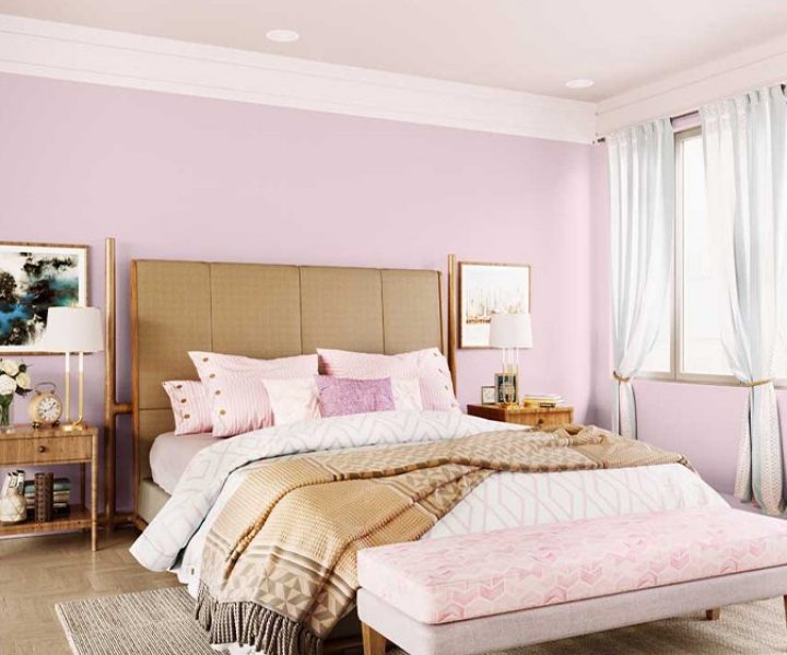 purples-pinks-colour-shade-asian-paints-9451
